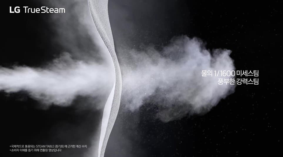 LG 트루스팀 — 물의 1/1600 크기 미세스팀이 옷감 깊숙이 침투하여 99.9% 살균