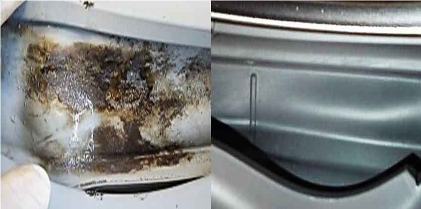 무세제 통세척 전후 비교 — 왼쪽: 고무 패킹 안쪽에 낀 곰팡이와 오염물. 오른쪽: 통세척 후 깨끗해진 상태